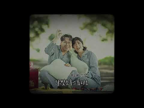 달빛오후스튜디오 릴스 